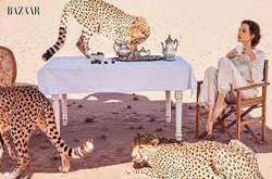 Анджелина Джоли снялась в фотосессии с живыми леопардами