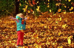 Погода на наступному тижні: прогноз синоптиків