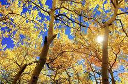 Сьогодні в Україні буде тепло і сухо 