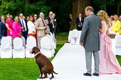 30 шикарных снимков с конкурса на лучшую свадебную фотографию 2017 года   