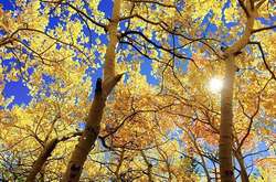 Сьогодні в Україні хмарно, температура до +23 