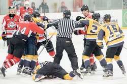 У матчах хокейної ліги «Донбас» обіграв «Білий Барс», а «Кременчук» - «Динамо»