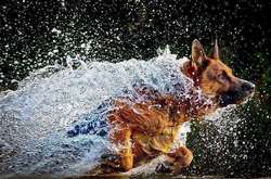 15 потрясающих кадров из разных уголков мира, от которых просто дух захватывает  