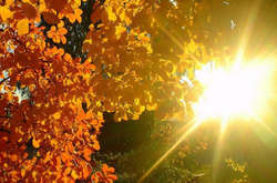 «Бабье лето» в Киеве может побить рекорды