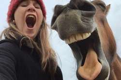 Забавные фотографии животных, которые стали финалистами комедийного конкурса 2017 года 