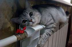 У Мінрегіоні відзвітували: з теплими батареями вже понад 30% житла в Україні 