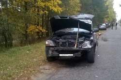 На Київщині автомобіль насмерть збив лося