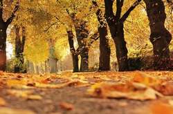 Прогноз погоди на сьогодні: дощі очікуються лише на півдні та сході