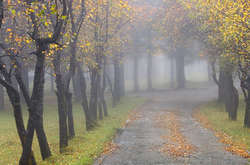 В Україні сьогодні дощі, температура до +14 