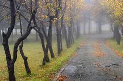  Прогноз погоди на 24 жовтня 