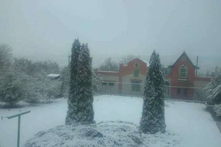 На Харківщині випав перший сніг 