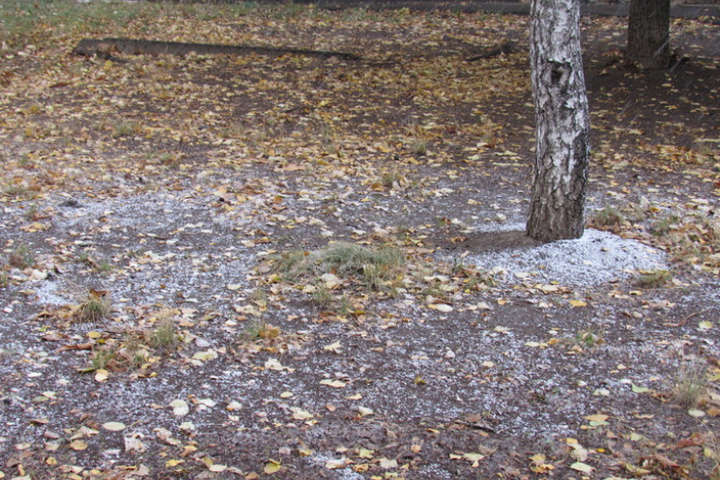 Зима прийшла: у Полтаві випав сніг (ФОТО)