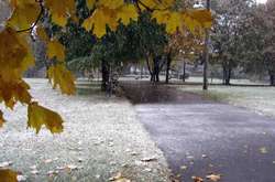 Погода на найближчі дні: синоптики прогнозують мокрий сніг та хуртовини