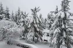 Через повалені дерева перекритий частково рух на Яблуницькому перевалі