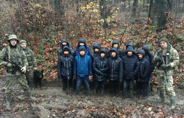 На Закарпатті затримали 11 нелегалів, які йшли через ліс у Словаччину