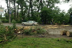Буревій у Вінниці повалив дерева та обірвав лінії електропередач