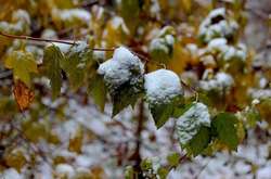 Синоптики попереджають про мокрий сніг і хуртовини в Україні