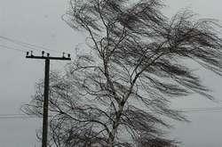 Пориви вітру призвели до знеструмлення населених пунктів