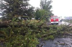 У всіх селах Закарпаття відновили світло після буревію