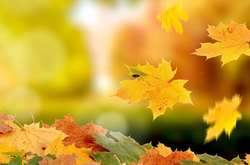 Синоптики порадували: з четверга потеплішає 