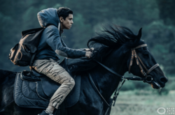 «Сторожевая застава» собрала за три недели проката 16,3 млн. грн