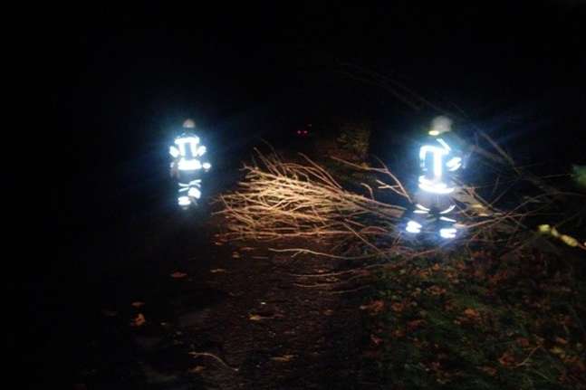 Зривало дахи та валило дерева: негода наробила лиха на Вінниччині