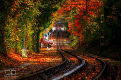 Десять очаровательный фотографий осеннего Будапешта, который играет всеми красками осени