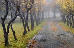 У четвер в Україні потеплішає