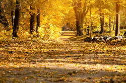 У Солом'янському районі знайшли повішеним чоловіка