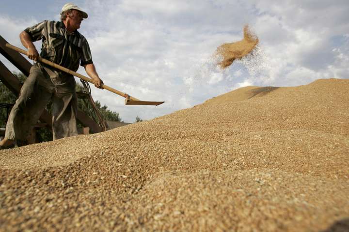 З початку року Україна експортувала 14,4 млн тонн зерна