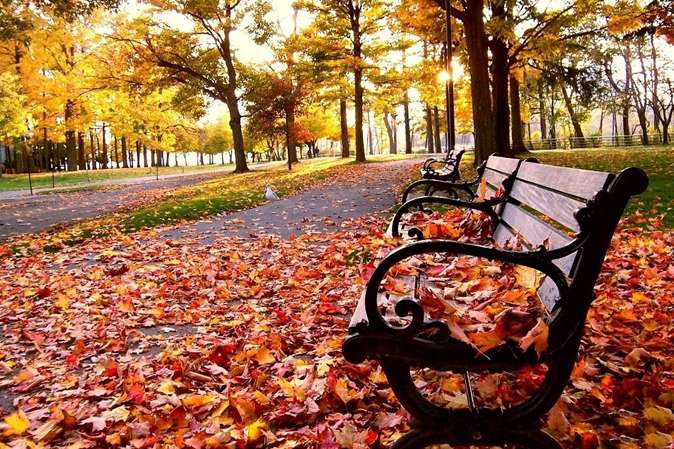 На выходные в Украине обещают солнечную погоду