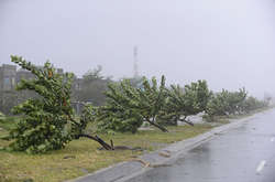Тайфун «Дамрі» у В'єтнамі забрав життя щонайменше п’яти людей