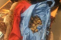 Українець напхав подушку бурштином і намагався вивезти його до Польщі