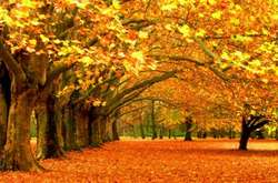 Синоптик розповіла, чого очікувати від погоди цього тижня