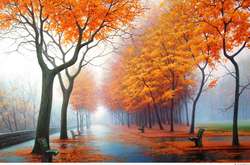 Синоптик попередила українців про магнітні бурі