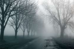 Сьогодні в Україні очікуються невеликі дощі