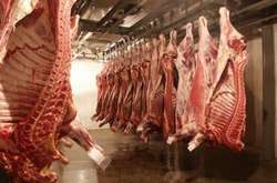 На Одеському птахокомбінаті знайдено купу залишків великої рогатої худоби