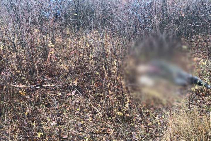 На Харківщині мисливець вбив свого односельця, якого сплутав із зайцем