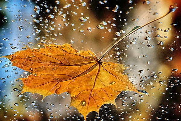 Синоптики радять прихопити парасольки: прогноз погоди на 12 листопада