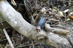 На розтяжці біля позицій бойовиків на Донеччині підірвався чоловік