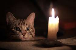 У центрі Києва не буде світла протягом 12 годин