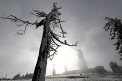 В сети появились фото первого снега в Германии 