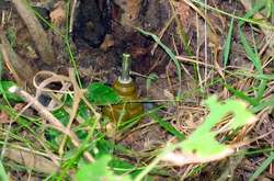 Біля Бахмута жінка підірвалася на розтяжці, коли пасла корів