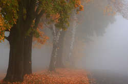 У середу в Україну прийде похолодання