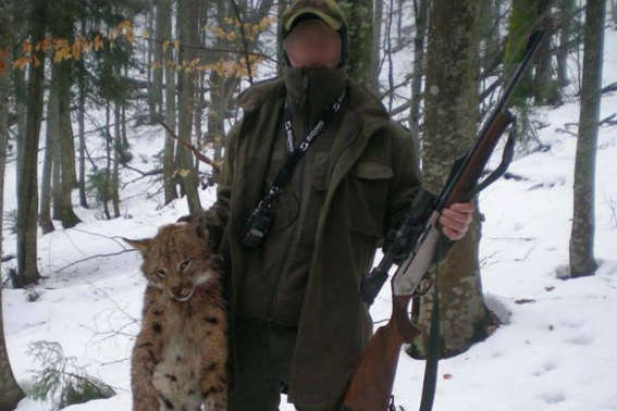 Убийство рыси на Закарпатье: браконьерам грозит три года тюрьмы