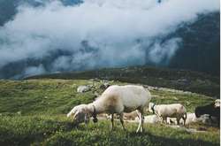 Німецький підліток зачаровує світ знімками унікальних пейзажів