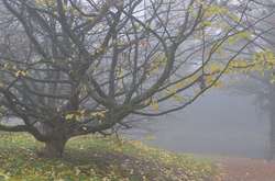 Завтра в Україні до +10 градусів