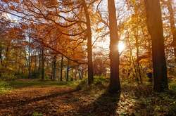 Погода на сьогодні: в Україні буде прохолодно, але сонячно