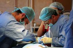 Закон о пересадке почек от умерших: плюсы и минусы