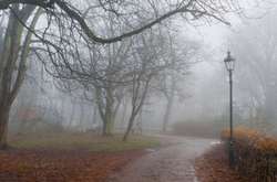 Вихідні прийдуть в Україну з дощами